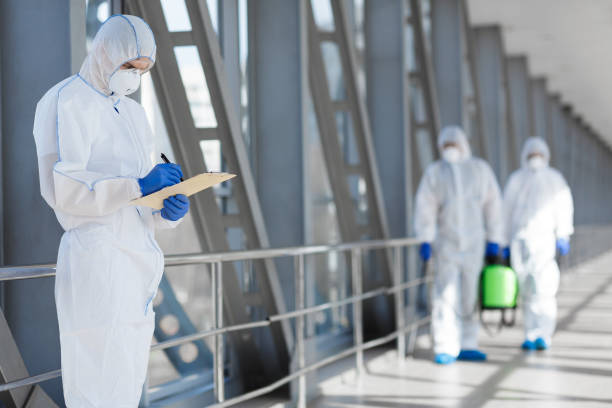 Best Mold Damage Restoration  in Lake Butler, FL